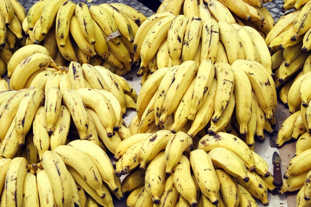 Storia, origini e diffusione della banana, principessa della Costa Rica